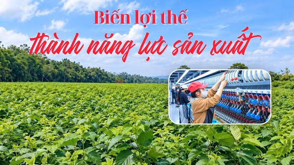 Biến lợi thế thành năng lực sản xuất