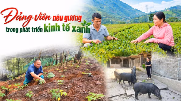 Đảng viên nêu gương trong phát triển kinh tế xanh