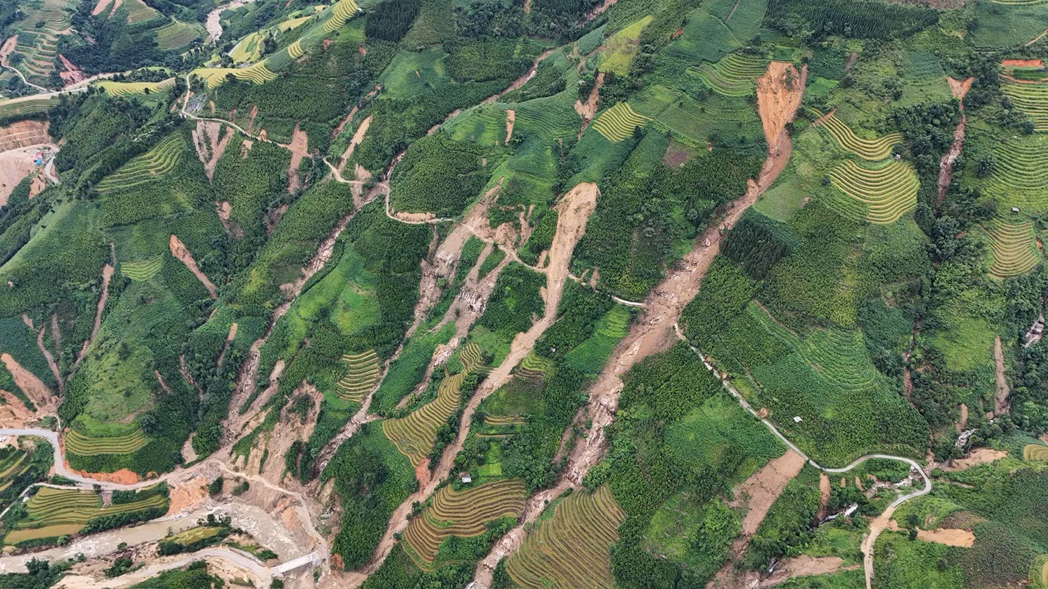 Diện tích lúa bị vùi lấp là 128 ha.