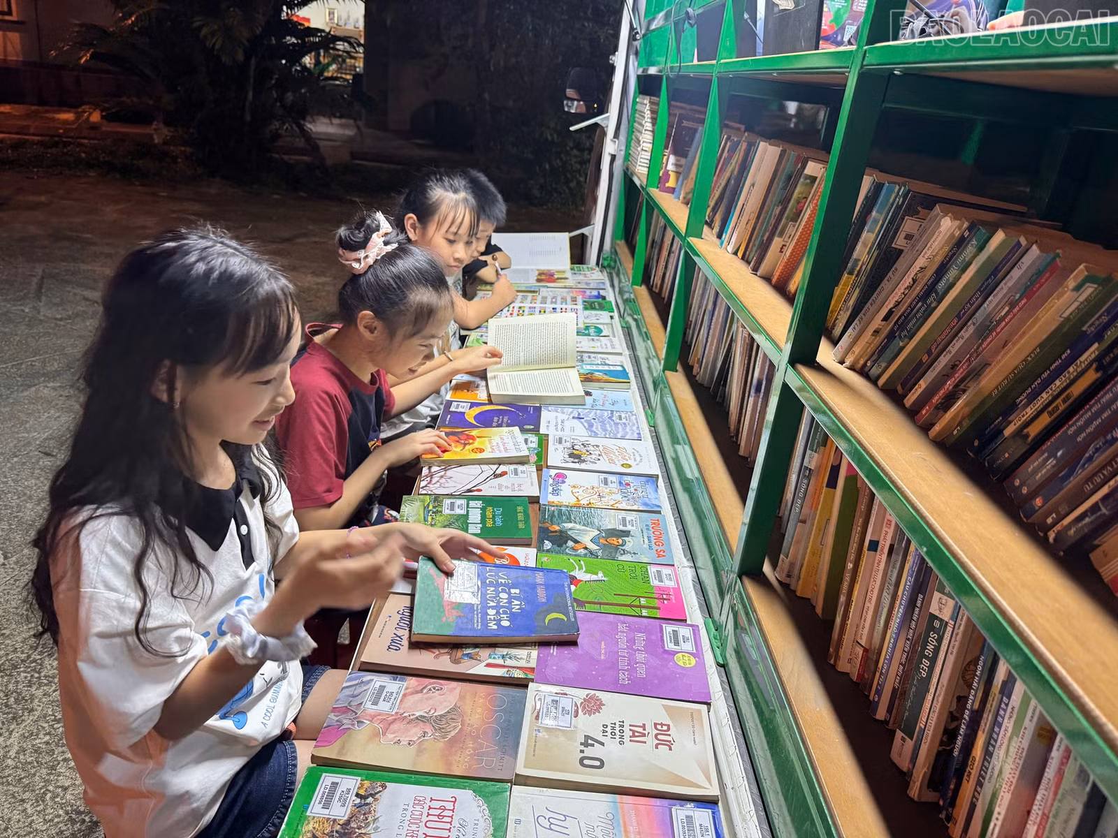 baolaocai-tr_b8fdc4e9-717d-4309-bb5b-82865d681bd4.jpg