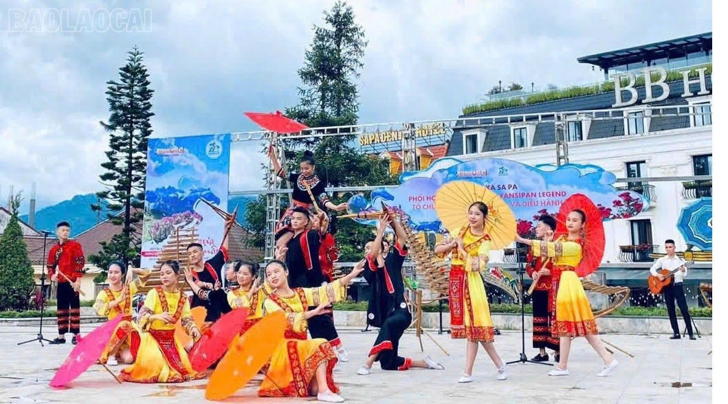 baolaocai-tl_z7426995648702-4554298b582cd85536273552f29063a3.jpg