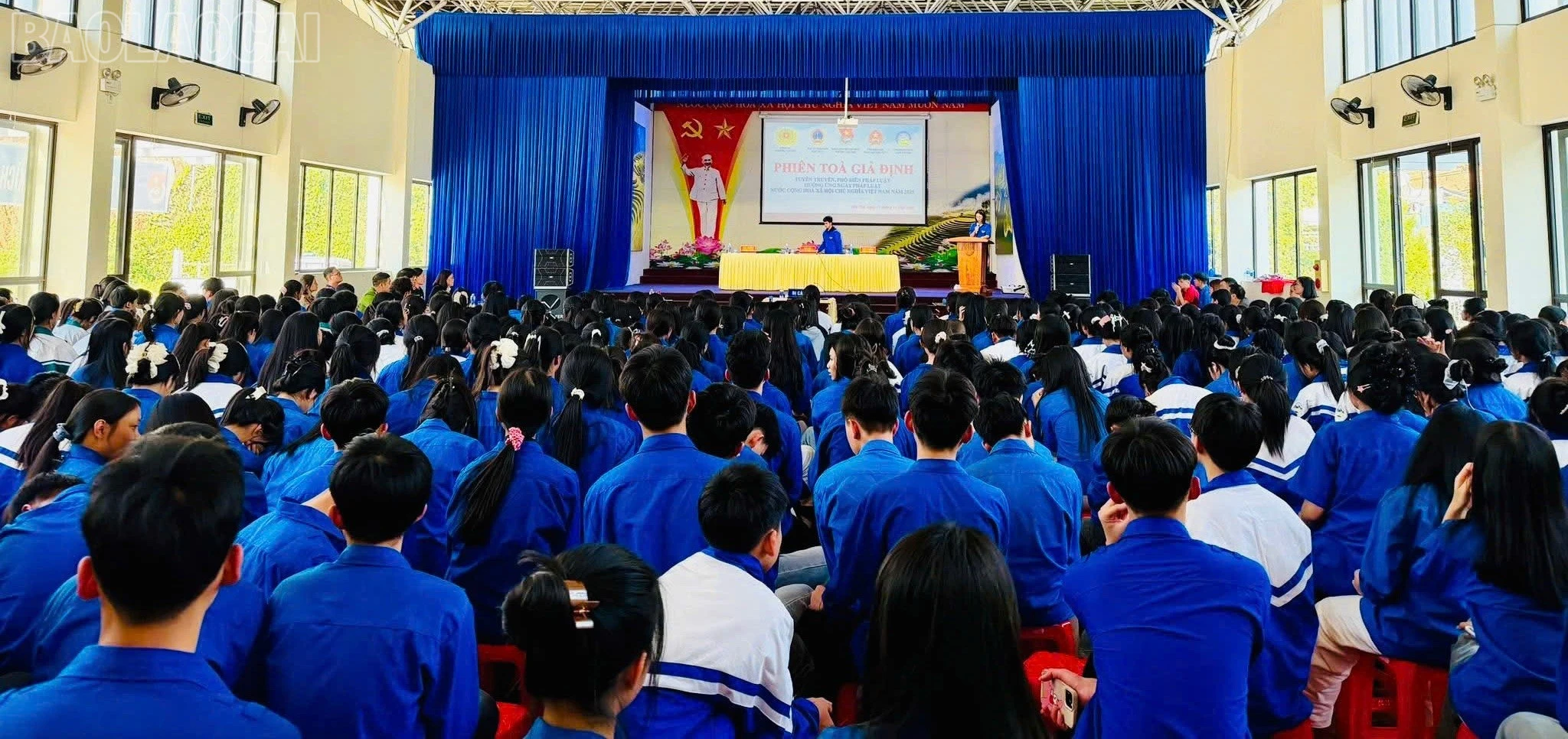 baolaocai-tl_z7355558134265-bd0c1d507a79d9e1bc932e7ff05d4fbb.jpg