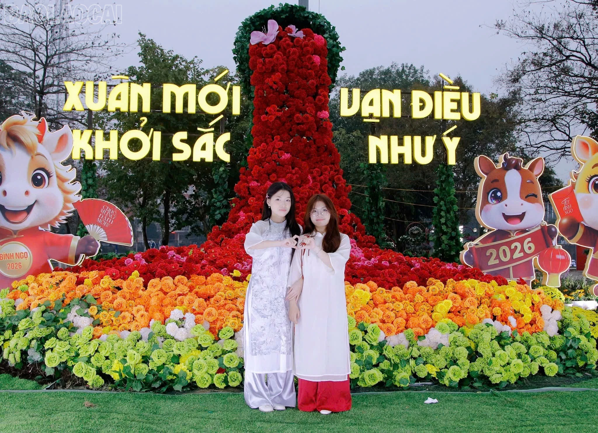 baolaocai-tl_z7546423606936-18ba0692ed50107f8cd98c85472b55bf.jpg