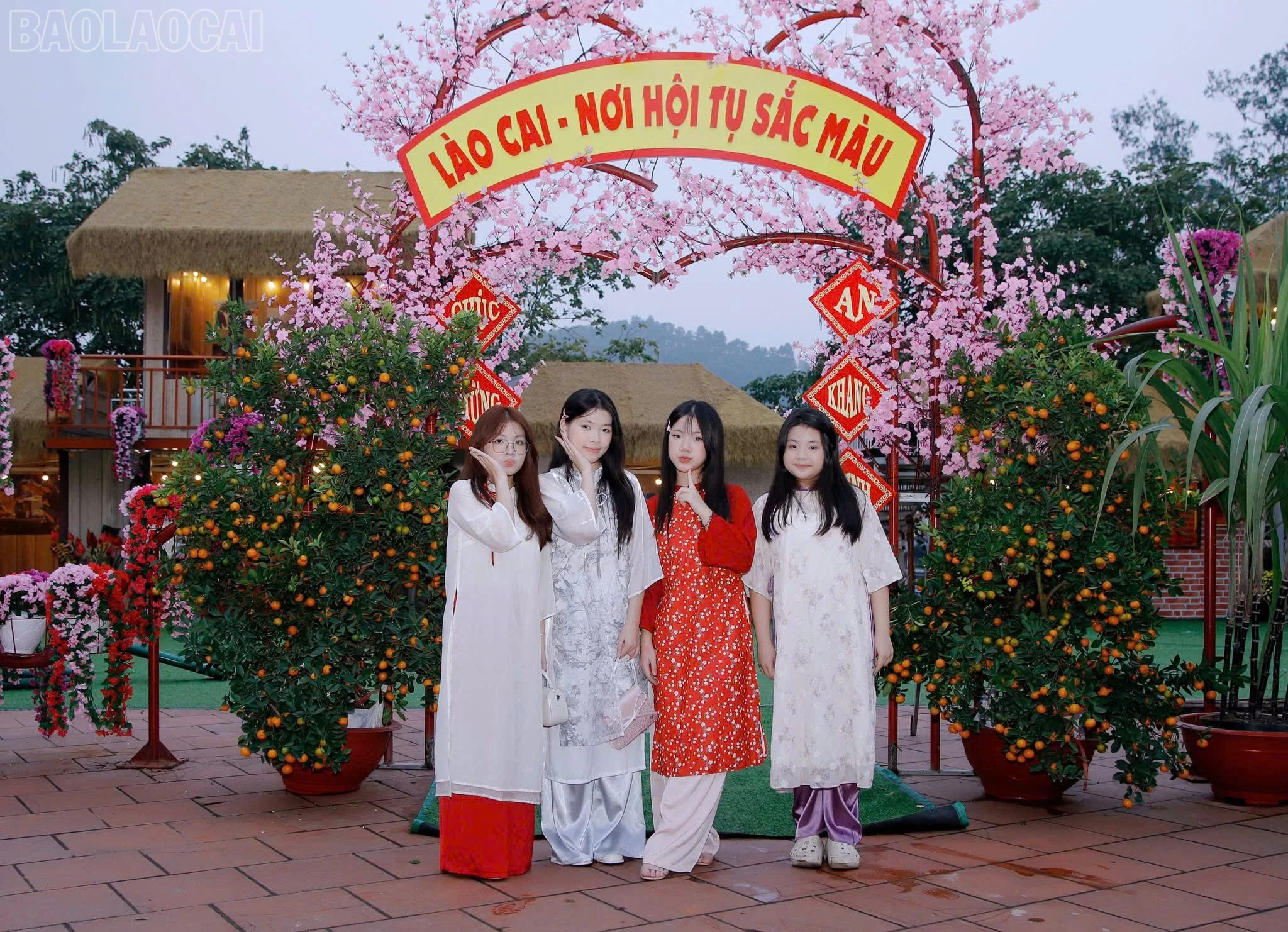 baolaocai-tl_z7546401920457-35ef7d9886171d9021e73cd9122f387a.jpg