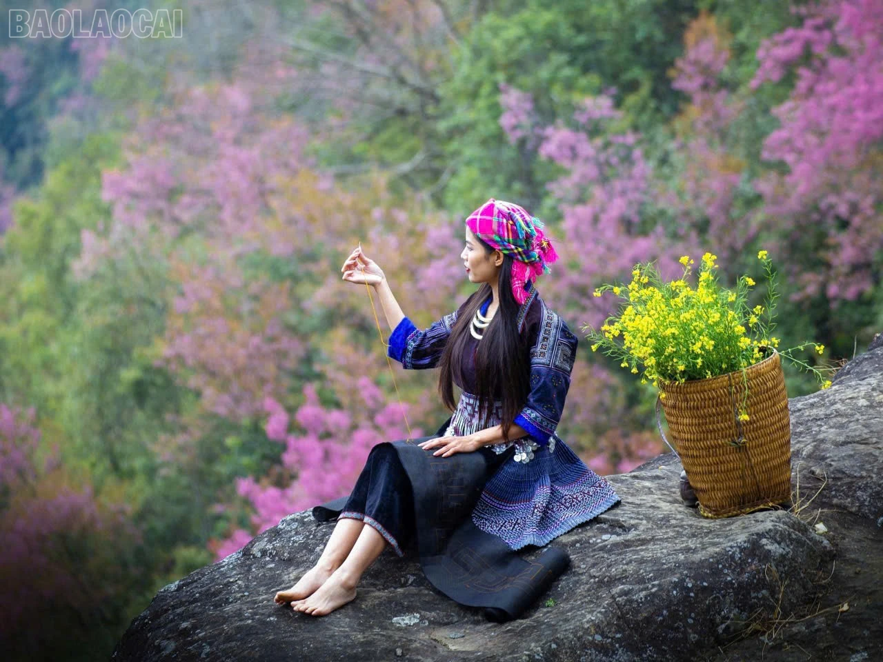 baolaocai-tl_z7386140232993-457e40c8ef78dd09d1c3bdb5575449dd.jpg