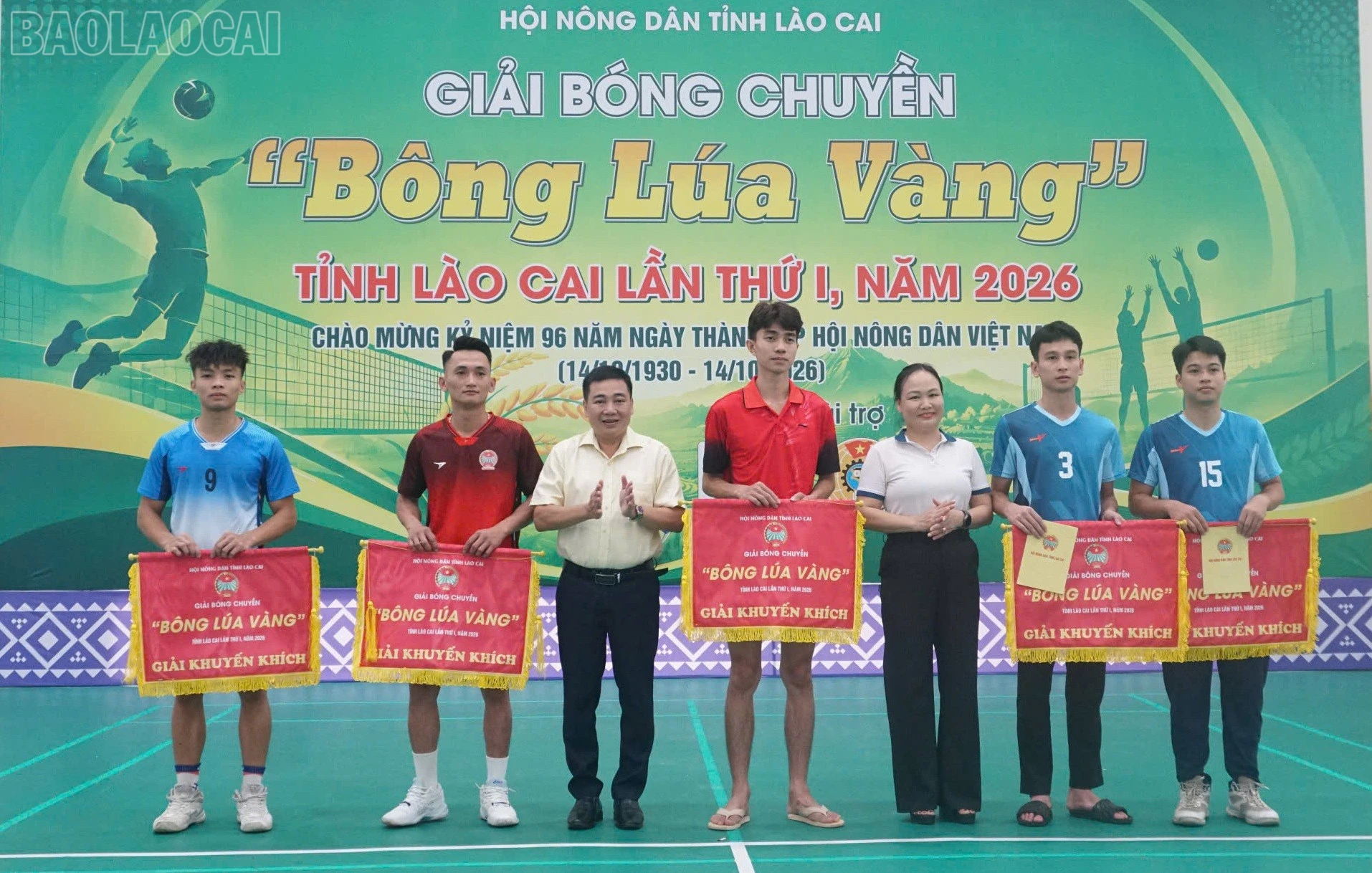 baolaocai-tl_1791004545126-8907346827003415512-8907346827003415512-bbeb8b5fdc6a7849e434c781a78b661e.jpg