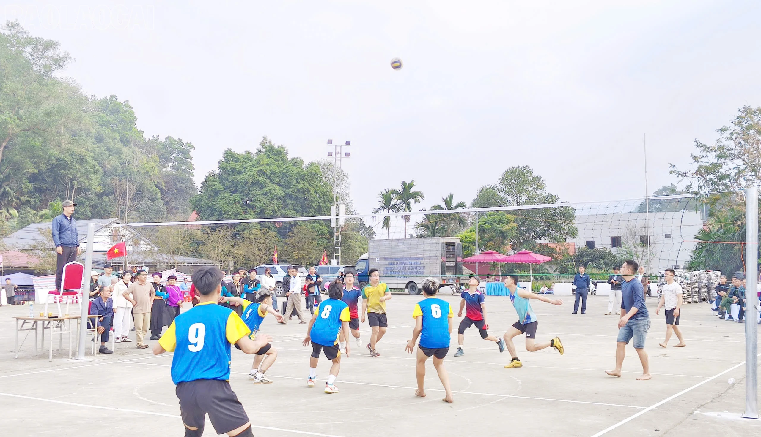 baolaocai-tl_z7553601638092-9d5a56fe892aa57b999a74ff7f33dad4.jpg