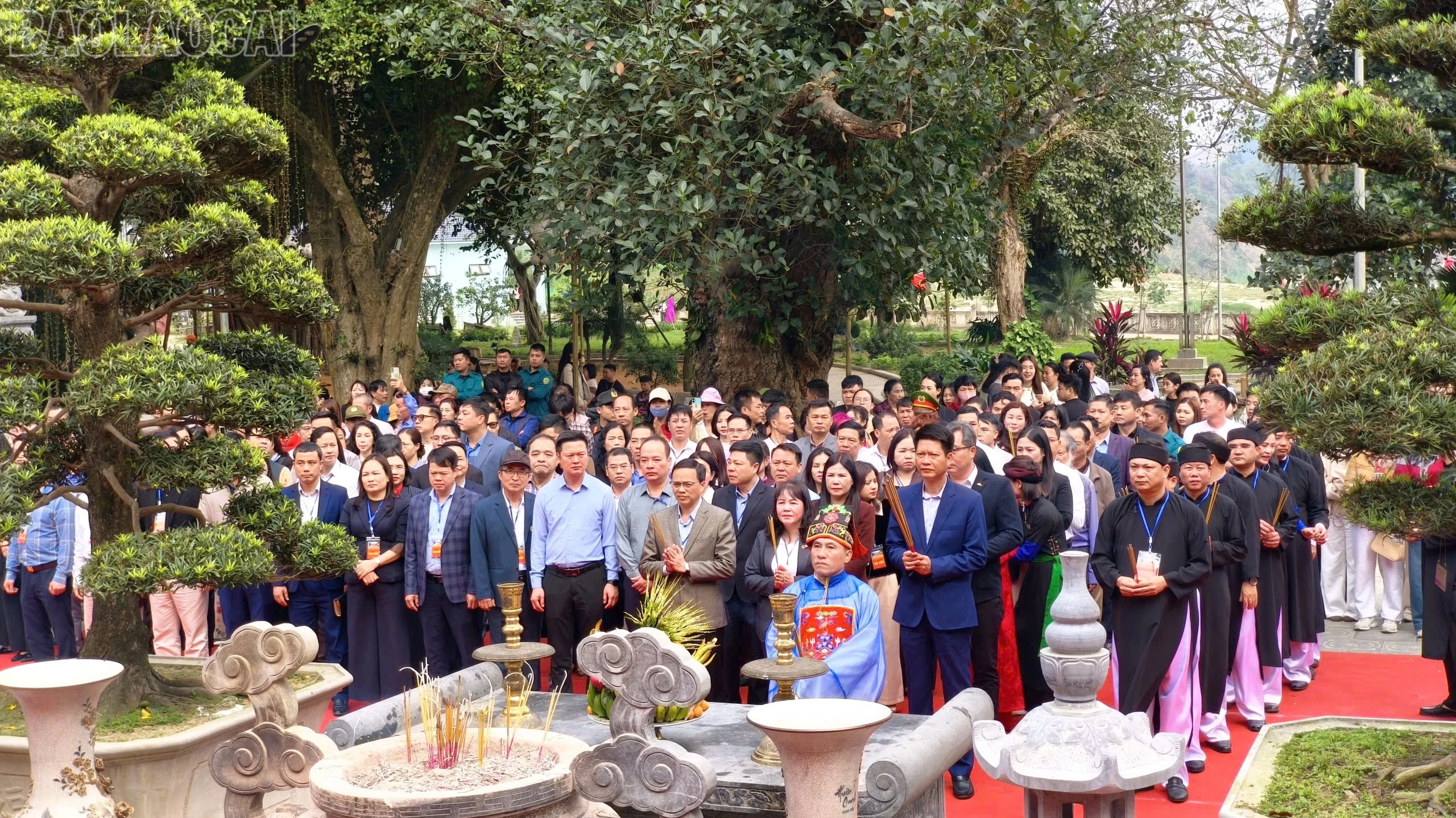 baolaocai-tl_z7552983066534-3f36411cd9611dfaf103e67ccbc7824e.jpg