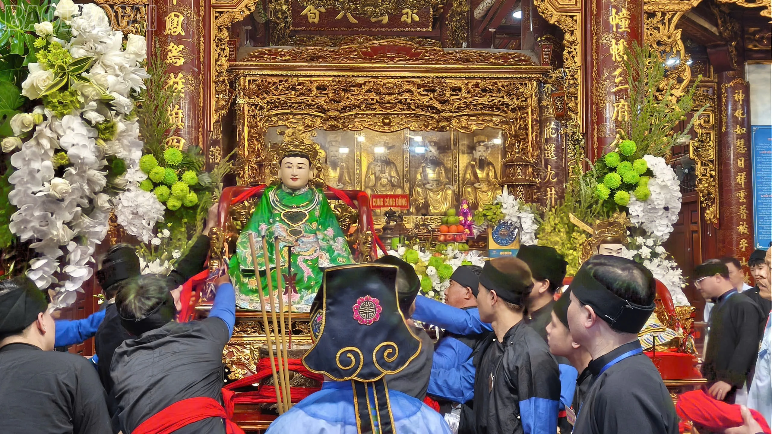 baolaocai-tl_z7553377628500-1961bb2ac09055a615d8688a7f4a62bd.jpg