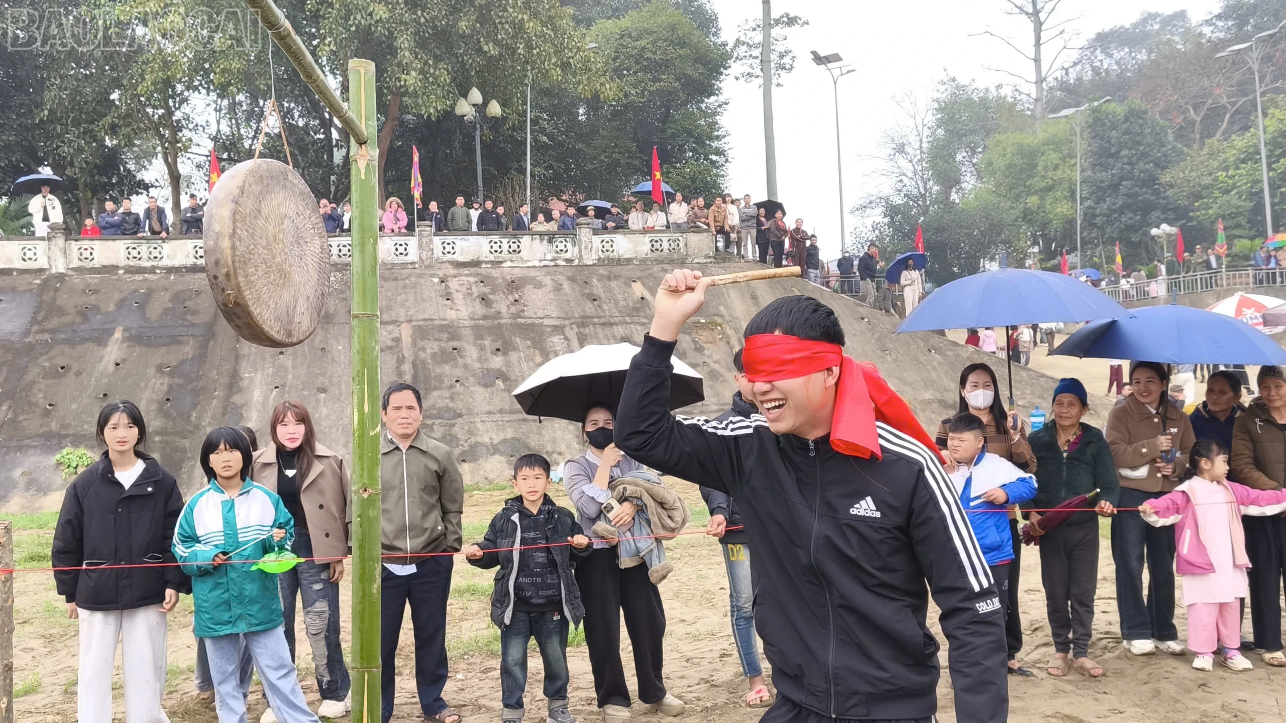 baolaocai-tl_z7553605590776-32d2125c9c506b34c21ff831a900d637.jpg