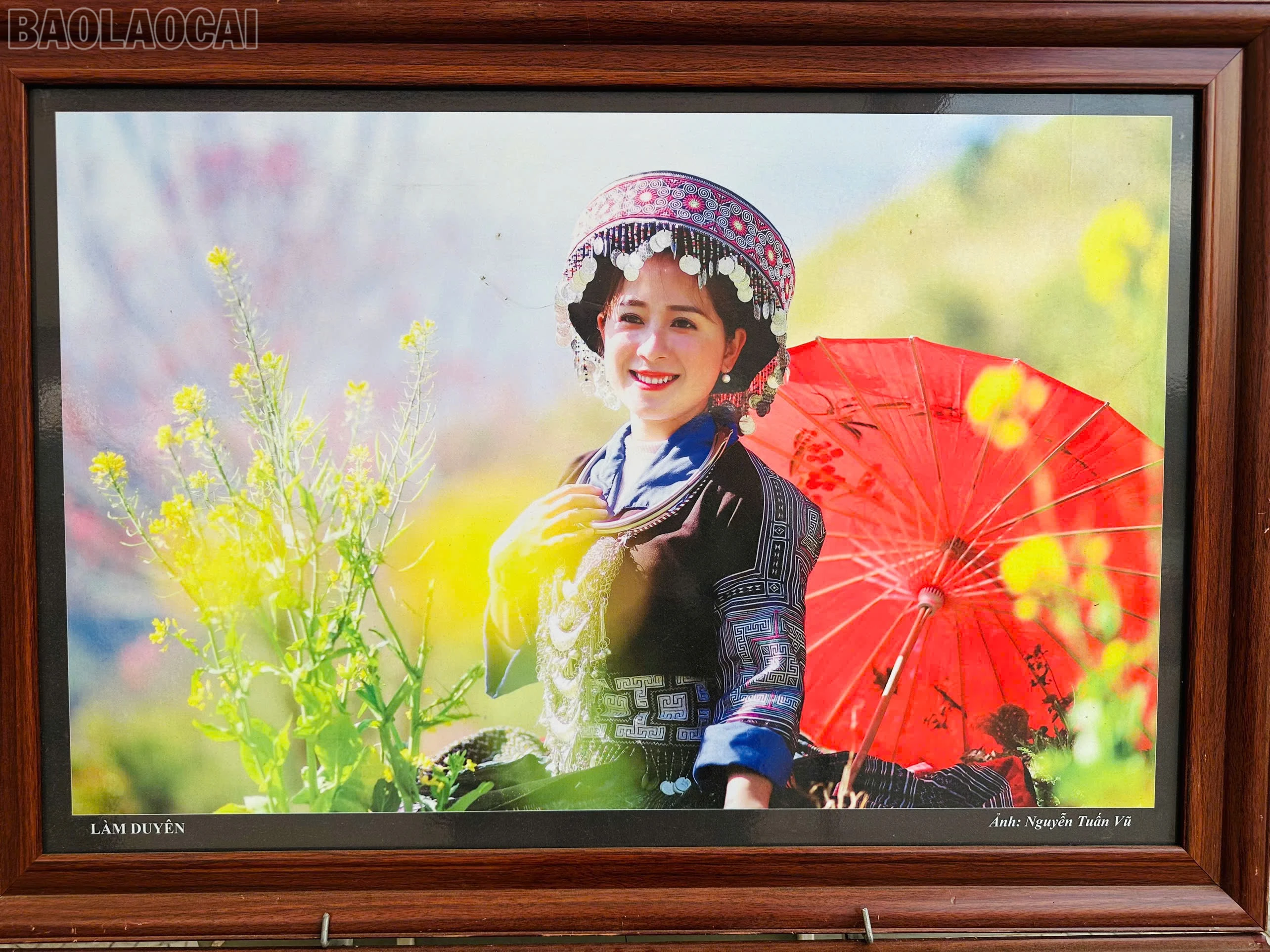 baolaocai-tl_z7396207140069-425a02b64609a3e5956992fa52d0b9f9.jpg