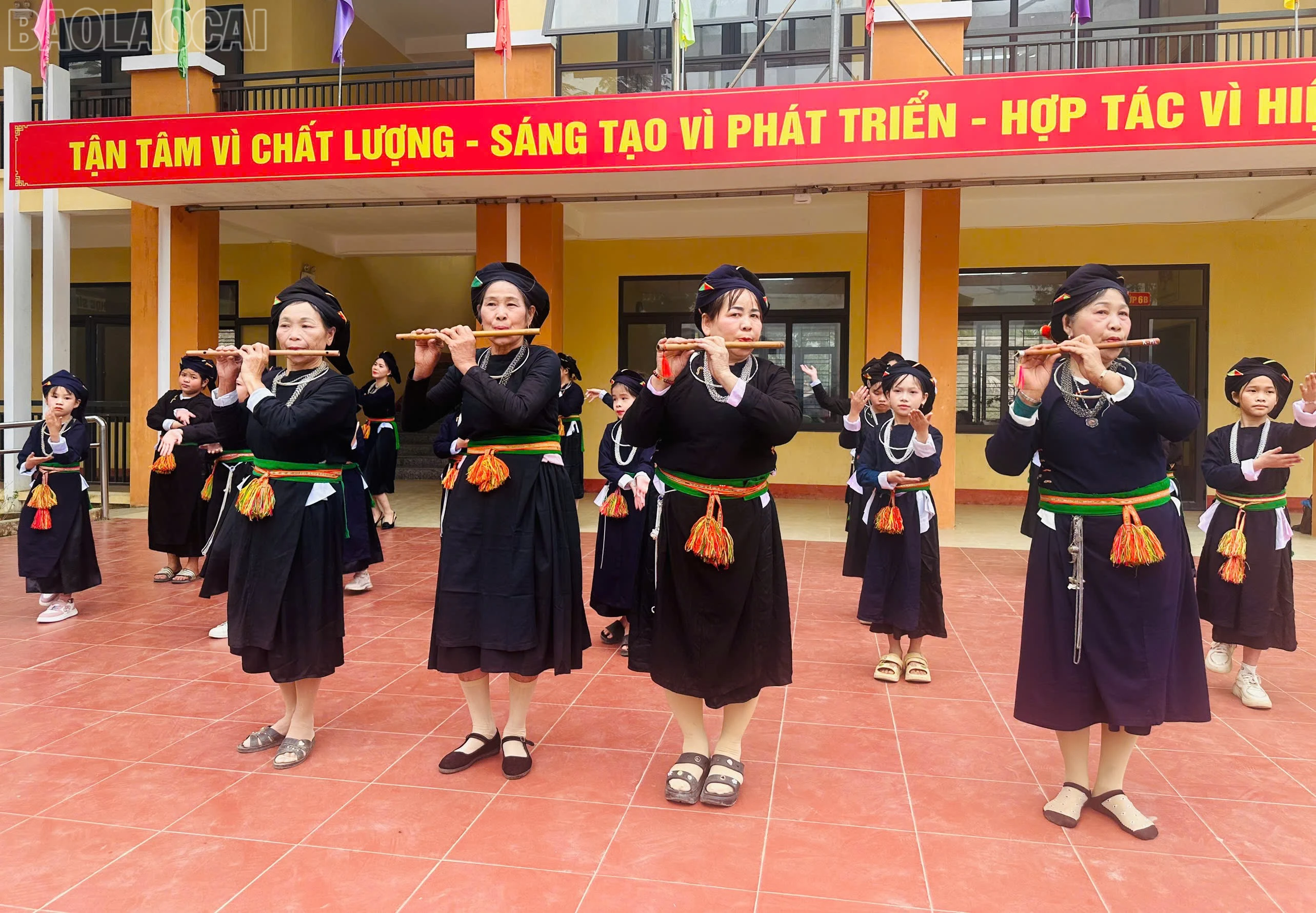 baolaocai-tl_z7483291064053-c1a8dcfaf5443b2d39e63dfe76480c80.jpg