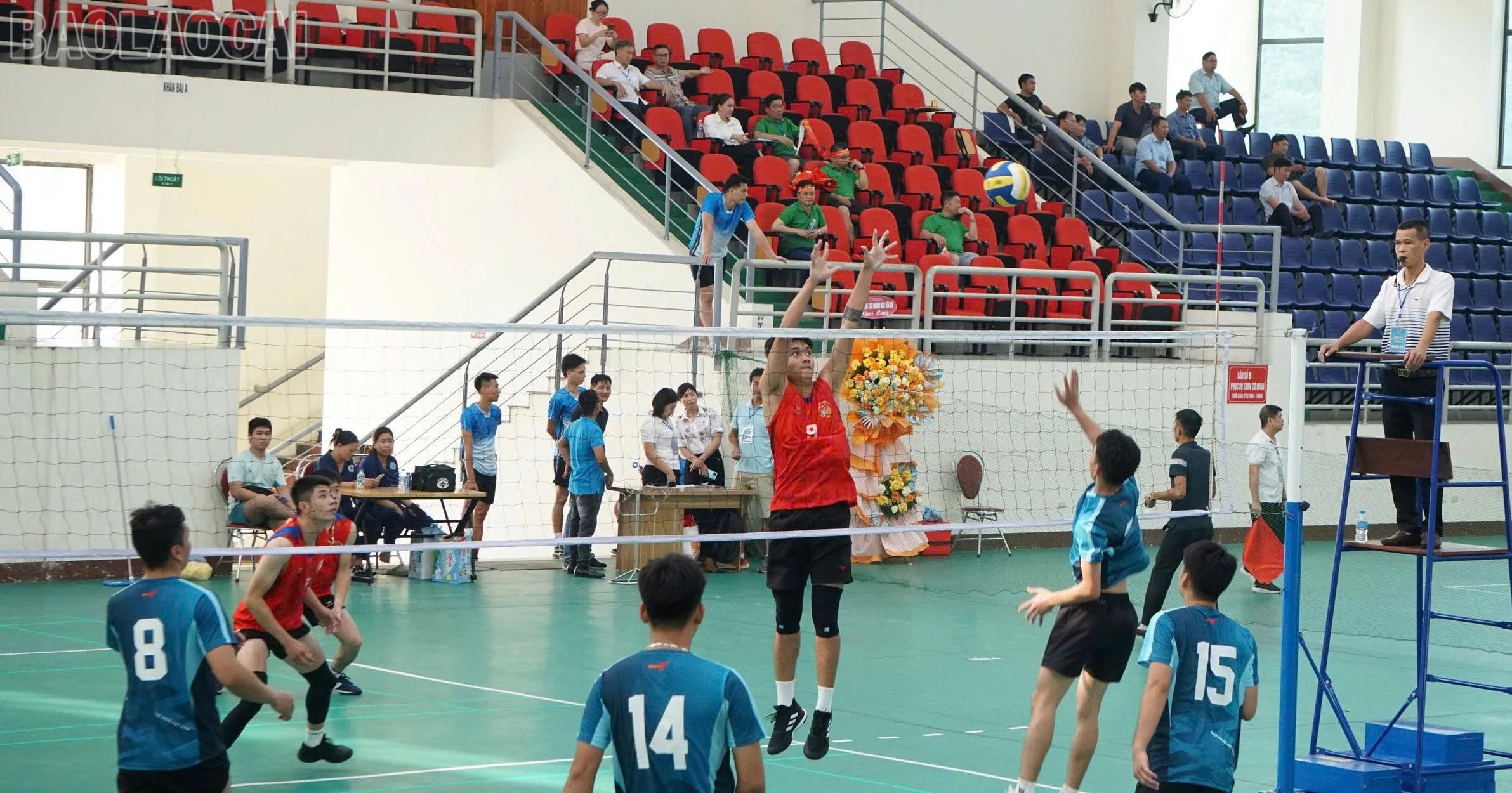 baolaocai-tl_1790916519886-2015680279133933500-6332318959216269989-29b81f08bbbf11680d68bb913b14d7b2.jpg