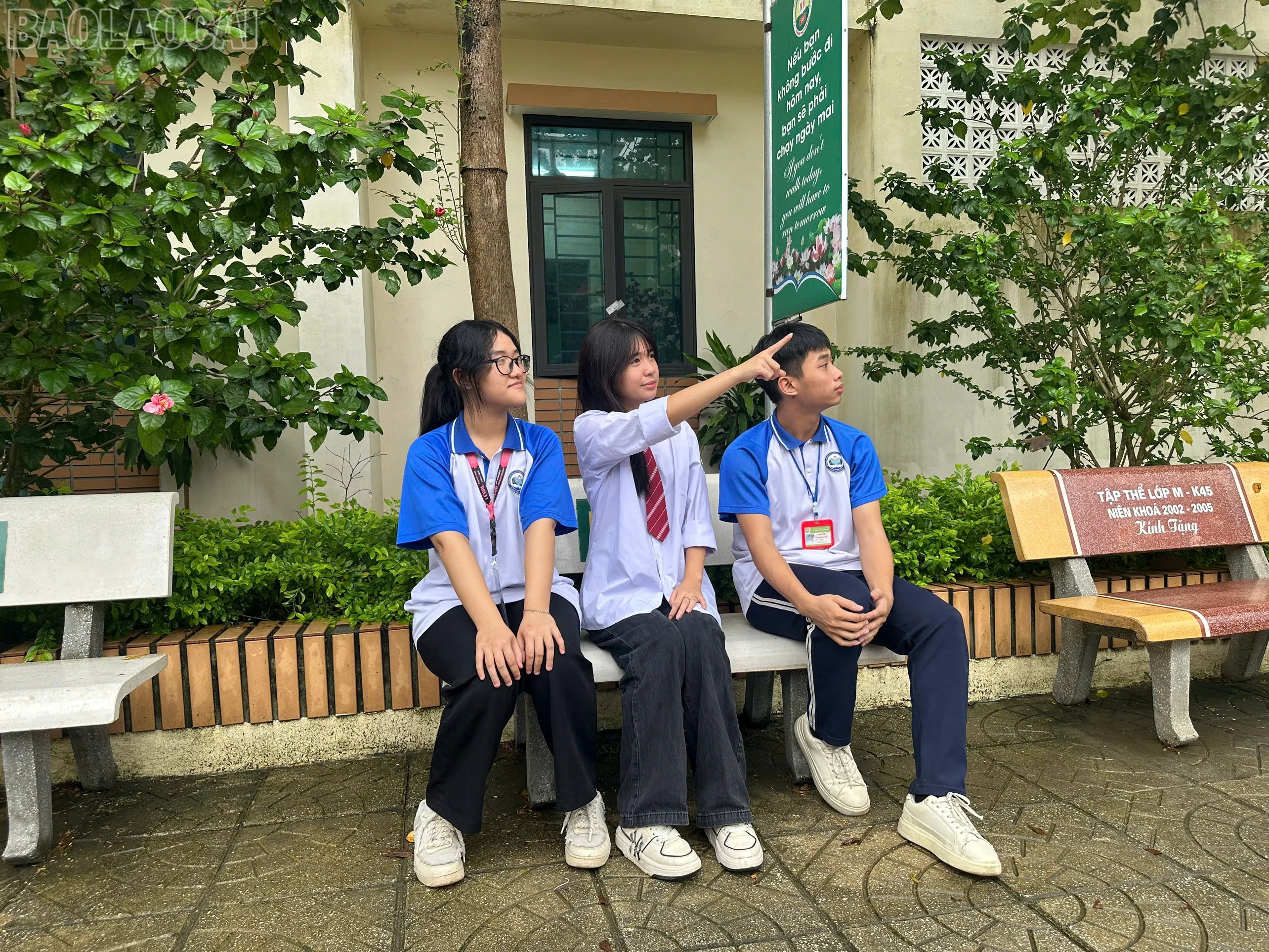 baolaocai-tl_z7209183815613-91857719a767f9e8d6f0d4a13c4885f2.jpg
