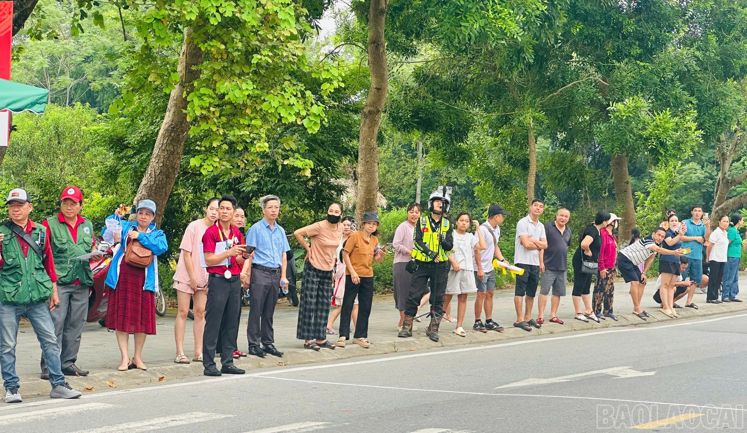 baolaocai-br_1782637052585-2015680279133933500-6332318959216269989-af49bc55fa8355f83afe8f545daf9f4e.jpg