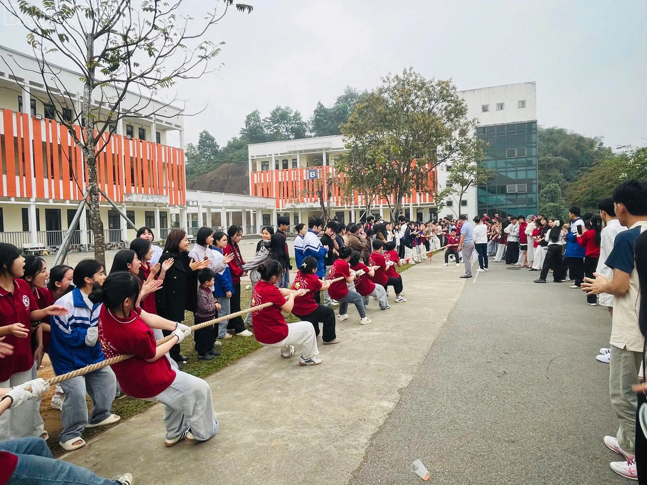 baolaocai-tl_z7489139034229-6fe9bda10698becb192141bd2009484e.jpg