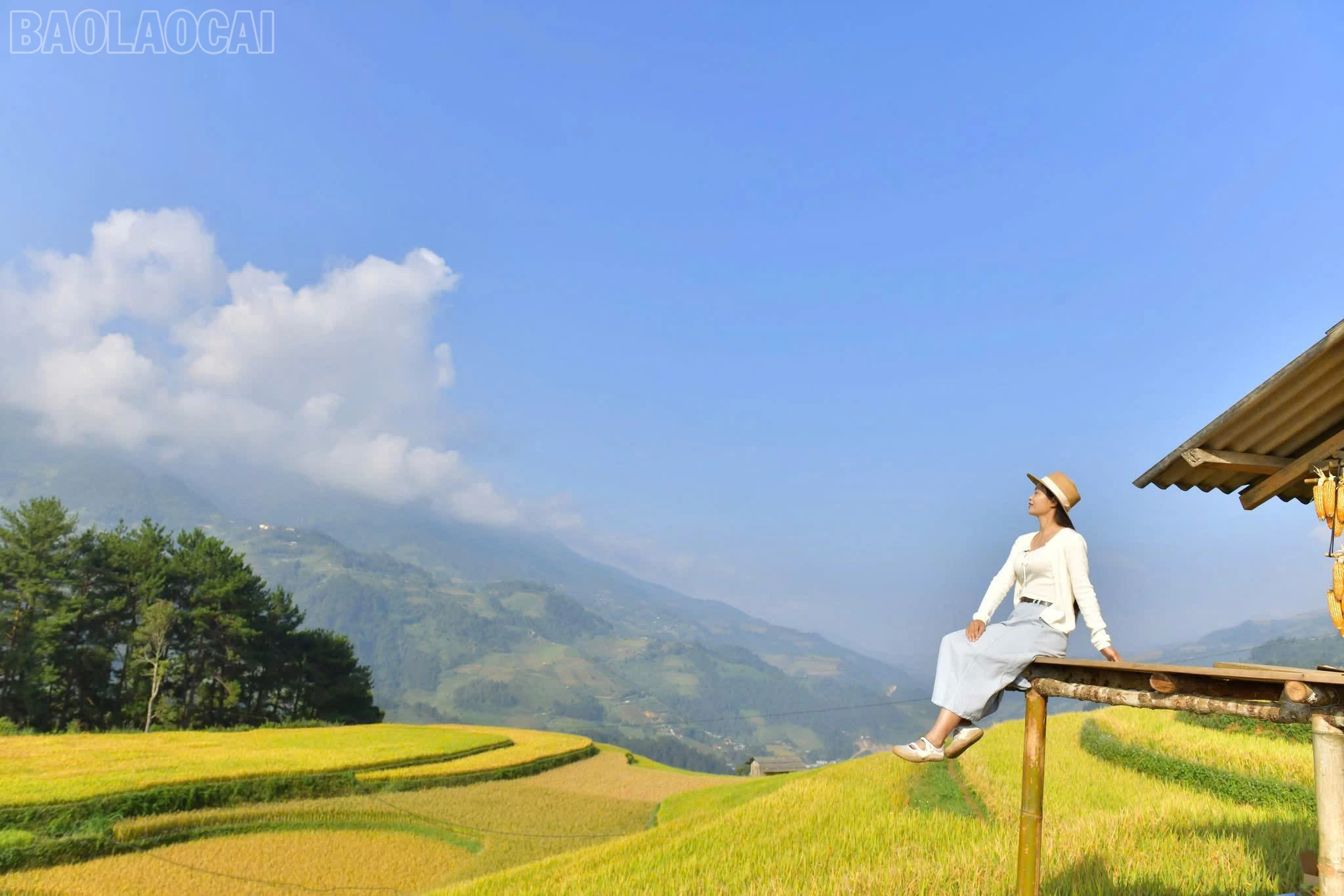 baolaocai-tl_z7366612939176-0585a6e45b527a49ade52acfb37946c8.jpg