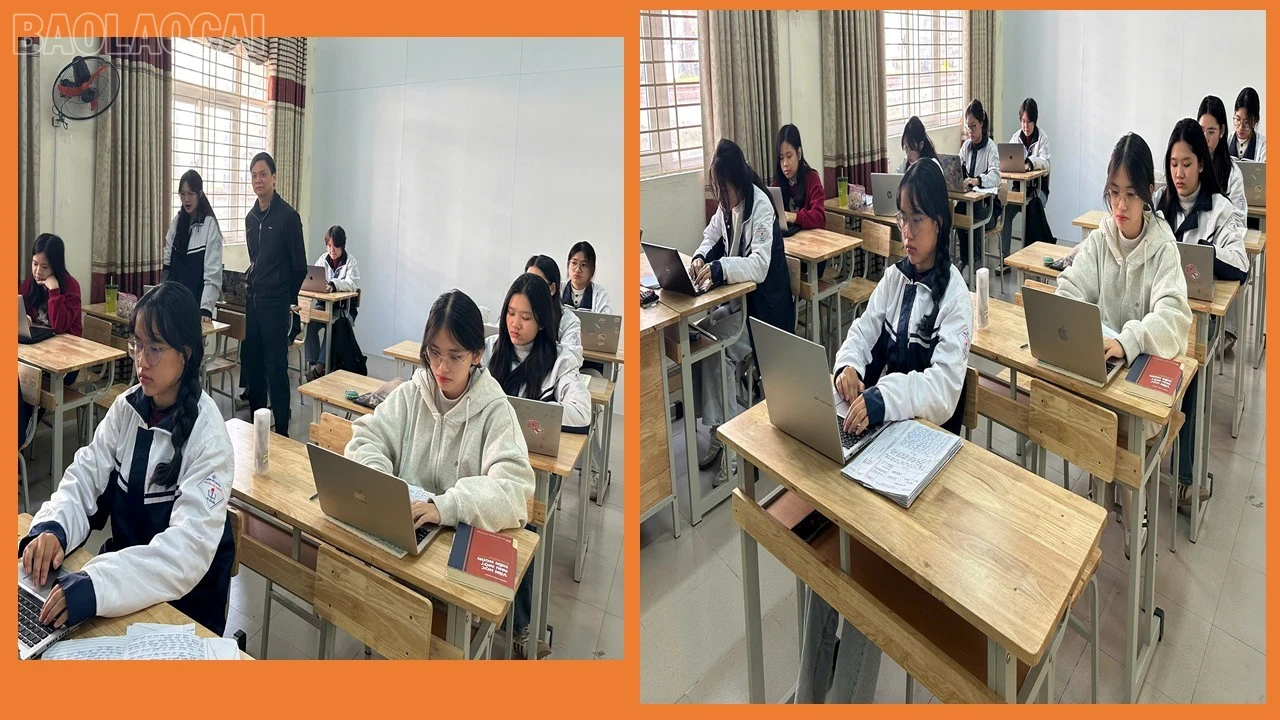 baolaocai-tl_presentation1.jpg