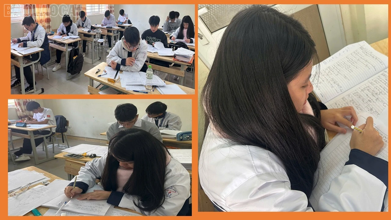 baolaocai-tl_presentation2.jpg