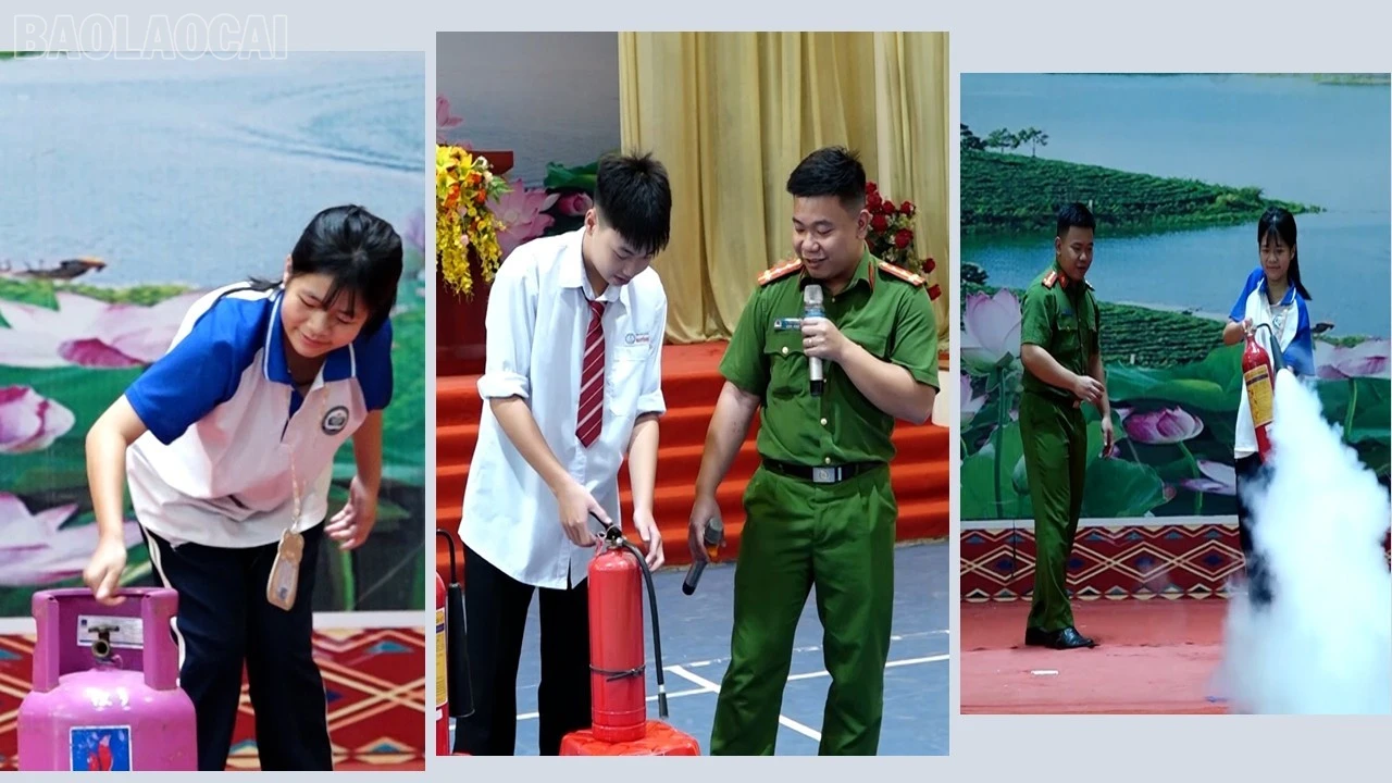 baolaocai-tl_presentation1.jpg