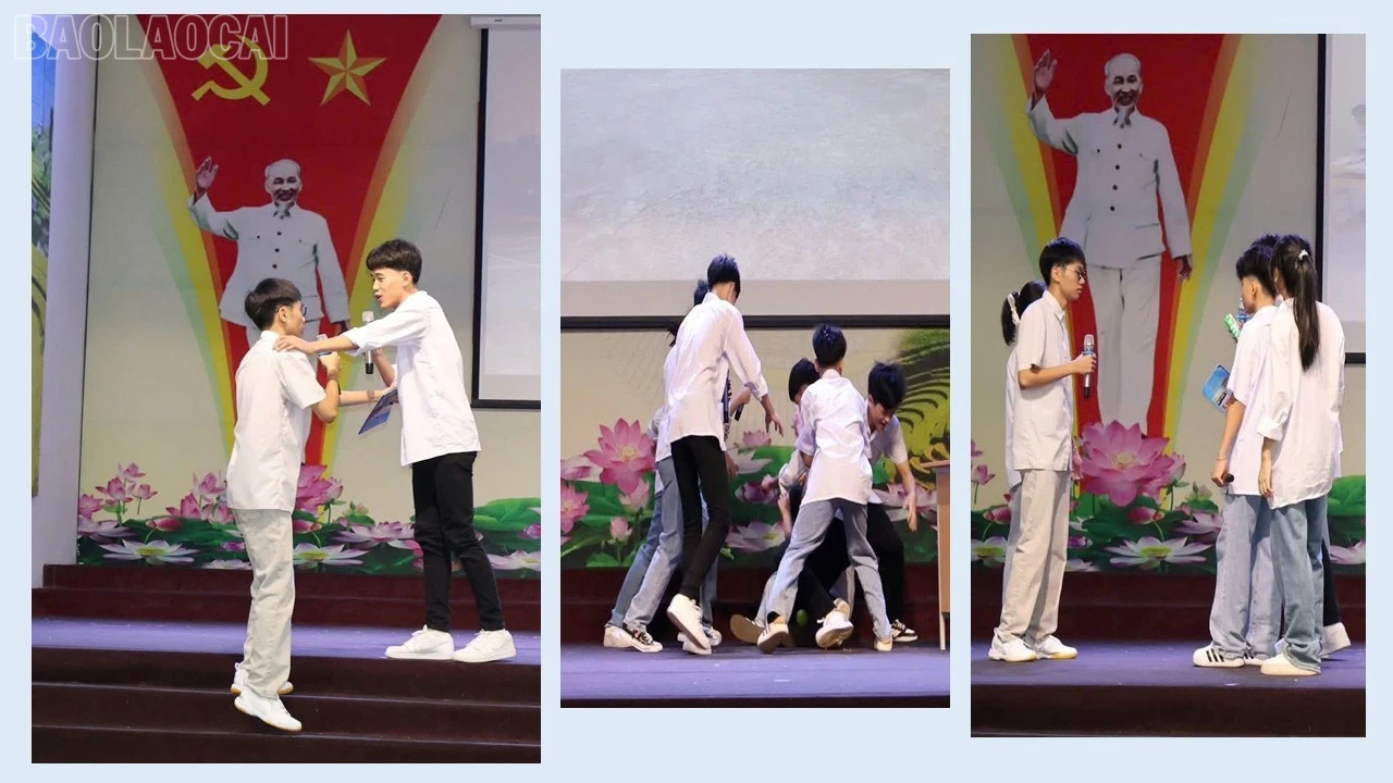 baolaocai-tl_presentation3.jpg