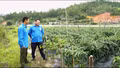 Thanh niên Púng Luông khát vọng lập nghiệp trên quê hương