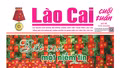 Báo Lào Cai Cuối tuần số 61 ra ngày 29/8/2026