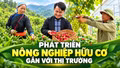 Phát triển nông nghiệp hữu cơ gắn với thị trường