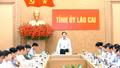 Thường trực Tỉnh ủy chỉ đạo tháo gỡ khó khăn, đẩy nhanh tiến độ các dự án công nghiệp trọng điểm phía Nam của tỉnh