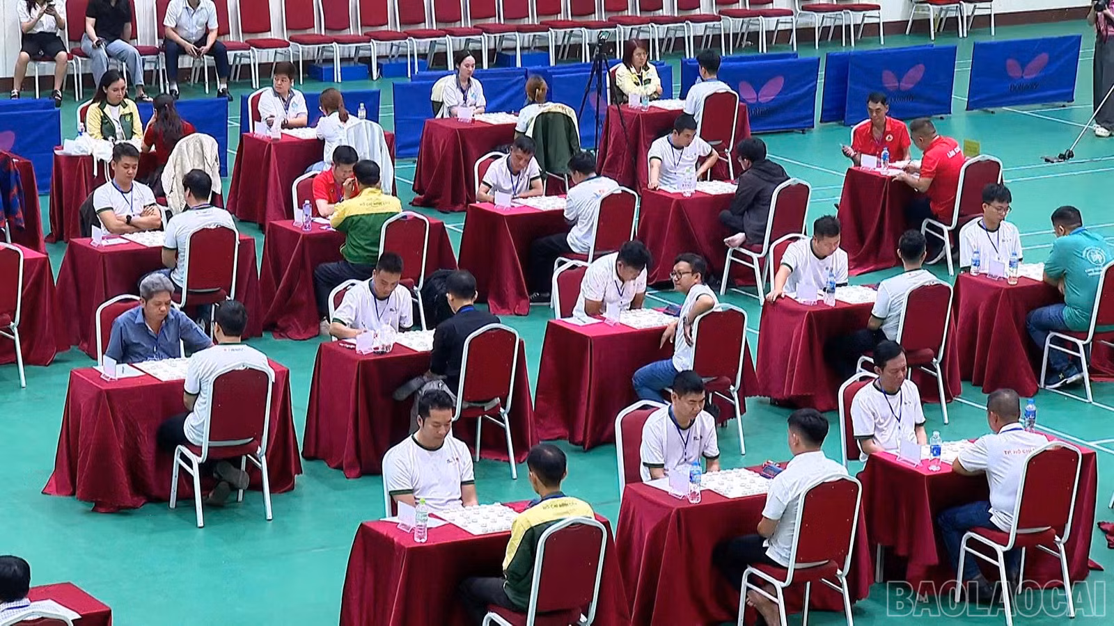 baolaocai-br_efac6393-b3dd-43c9-a40d-efe9501ecec6.jpg