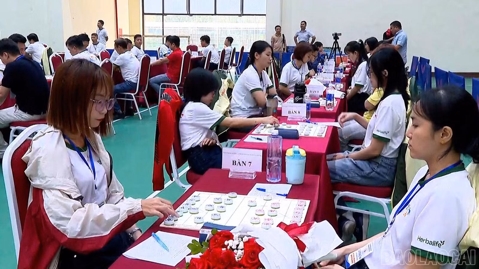 baolaocai-br_67d15a28-5107-4faf-87e2-f08a168b6104.jpg