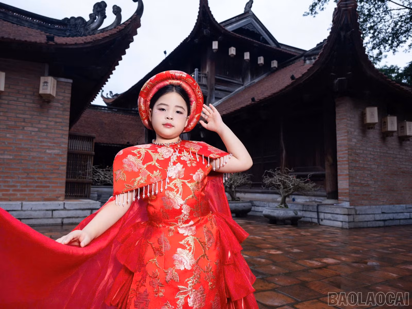 baolaocai-br_3847243512925470213.jpg
