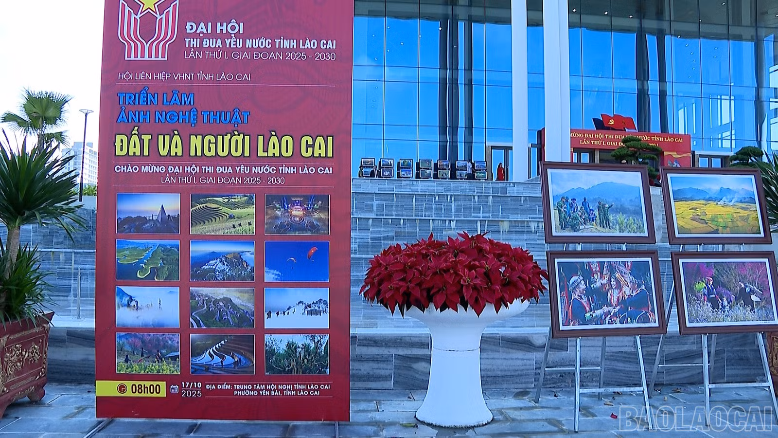 baolaocai-br_99.jpg