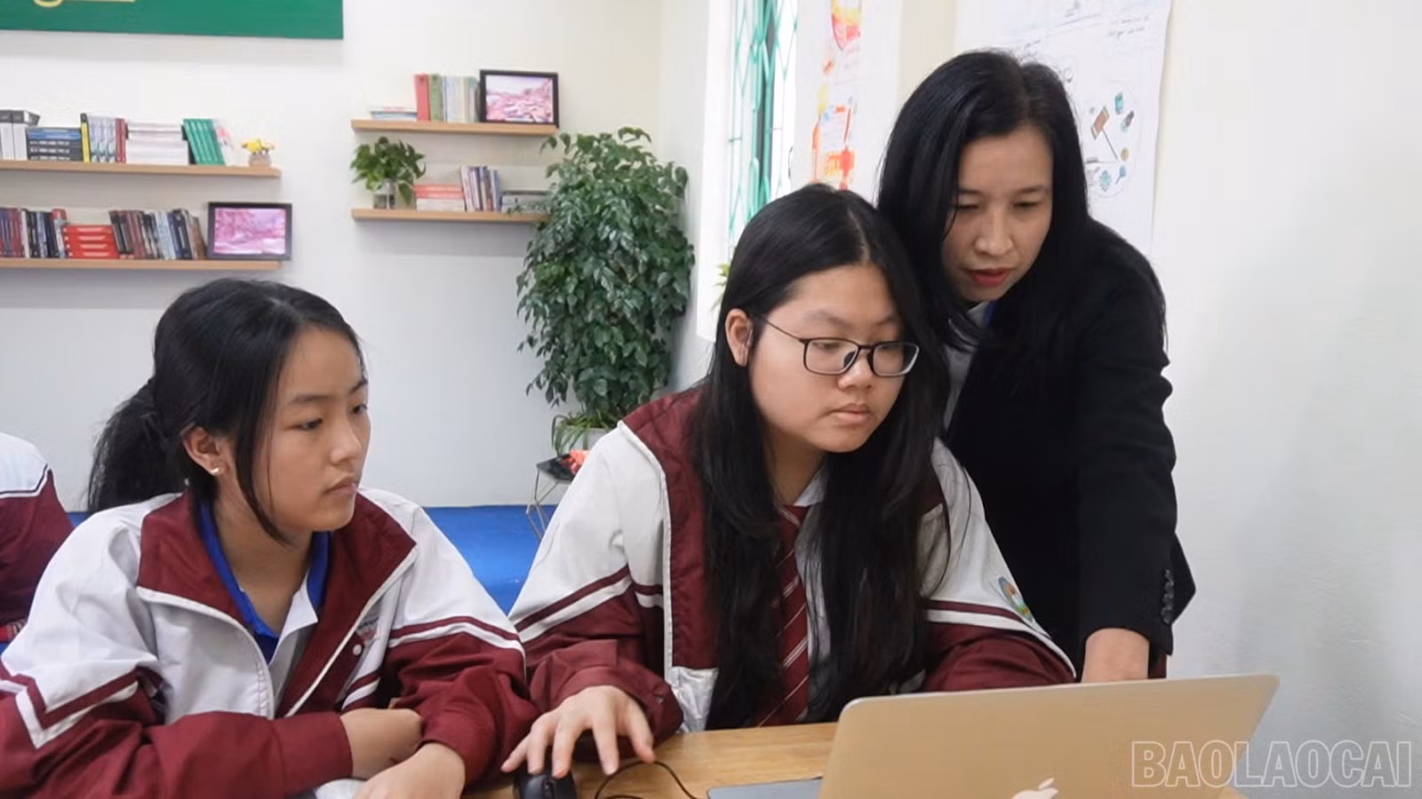 baolaocai-br_70984294-1860-49ba-996e-fc4865525d4f.jpg