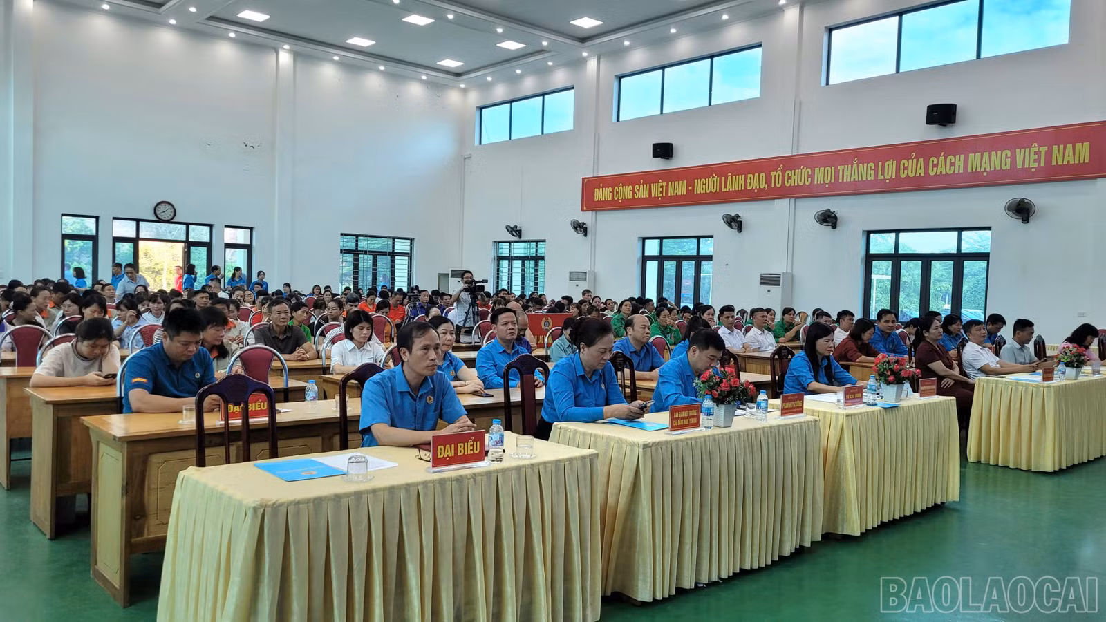 baolaocai-br_c86f4d32-ef8c-46dc-84c7-8ab0d1d0c471.jpg