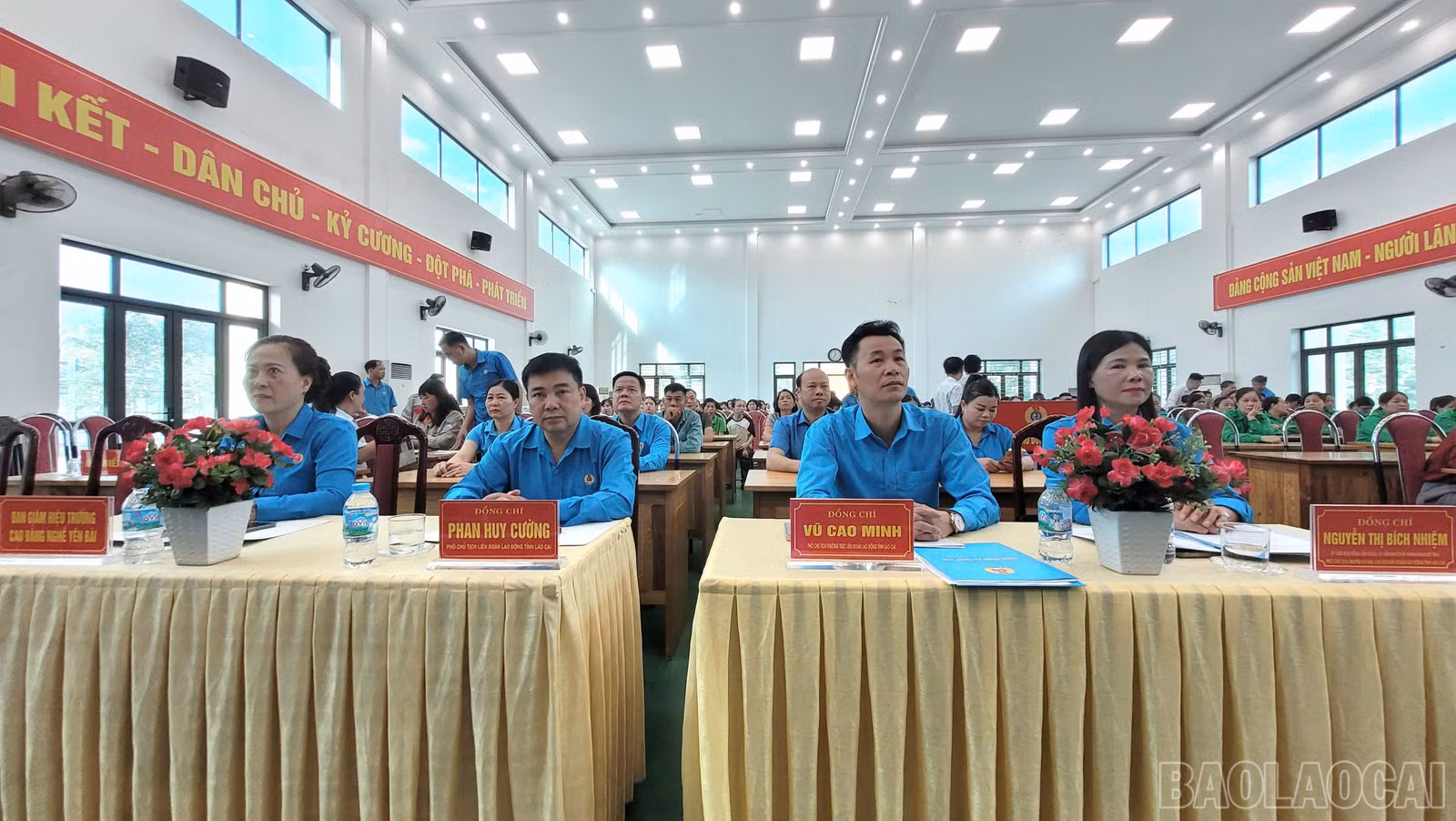 baolaocai-br_d8a33192-57ff-47f1-85cc-170ddae8adfd.jpg