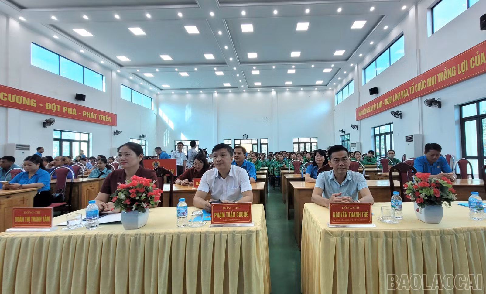 baolaocai-br_68cb8506-0a8a-49bf-8882-b8a4fec29012.jpg