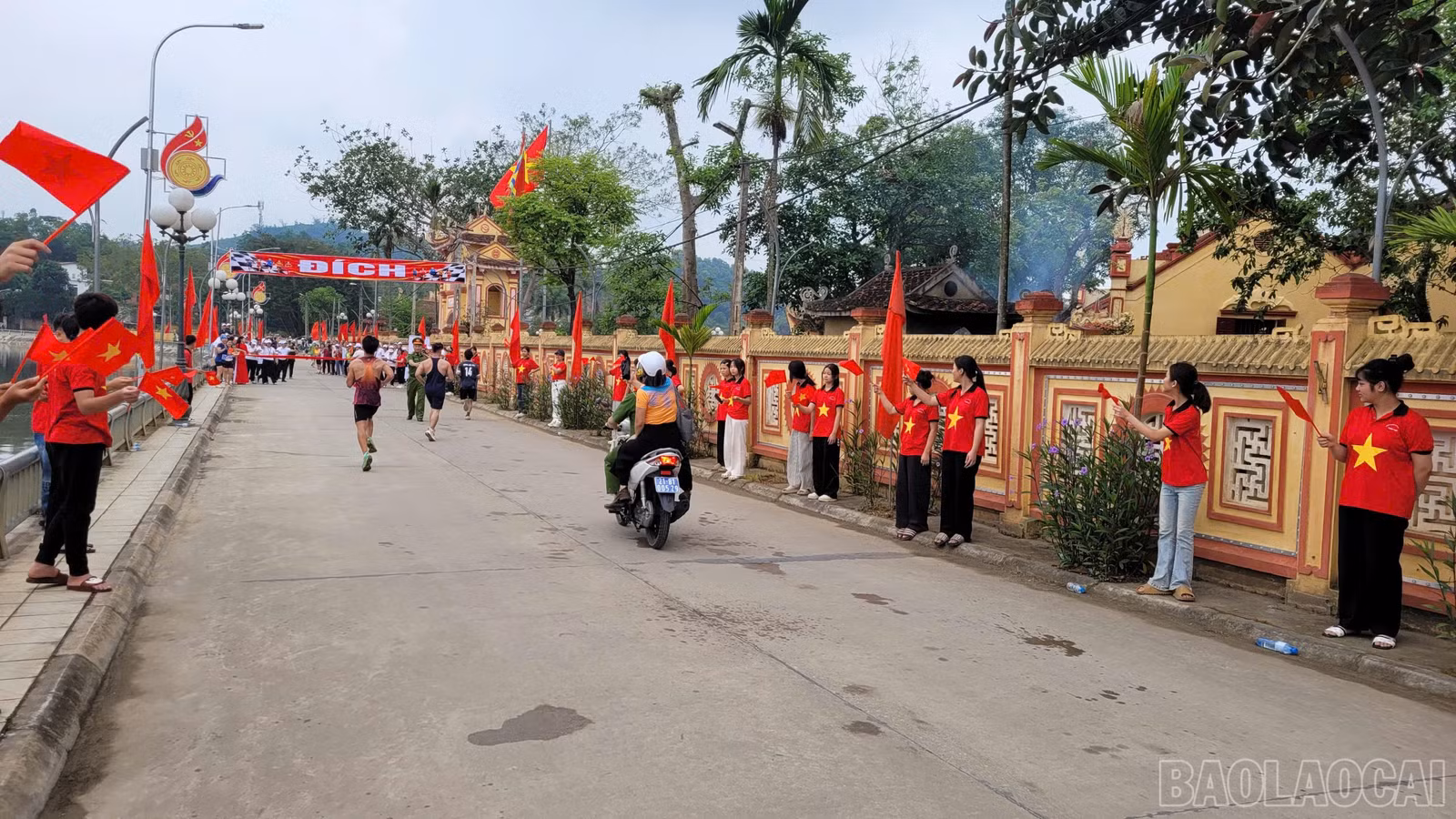 baolaocai-br_ea2d3dbd-2606-4981-8803-32bd7008546f-1.jpg