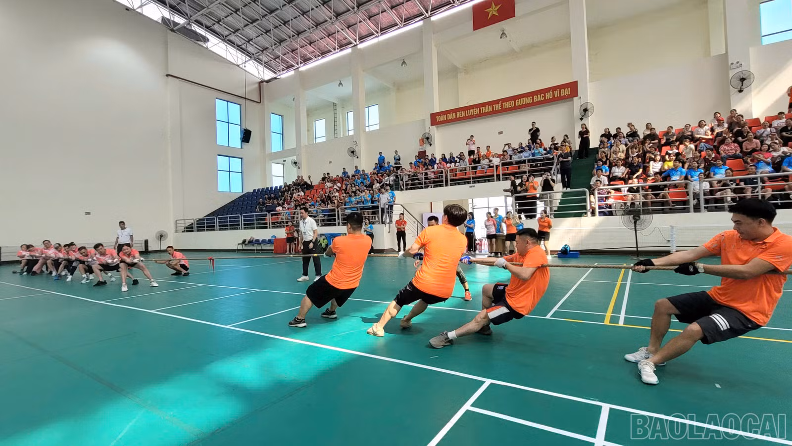 baolaocai-br_bc33ca11-2643-41ae-a820-ab12fe416556.jpg