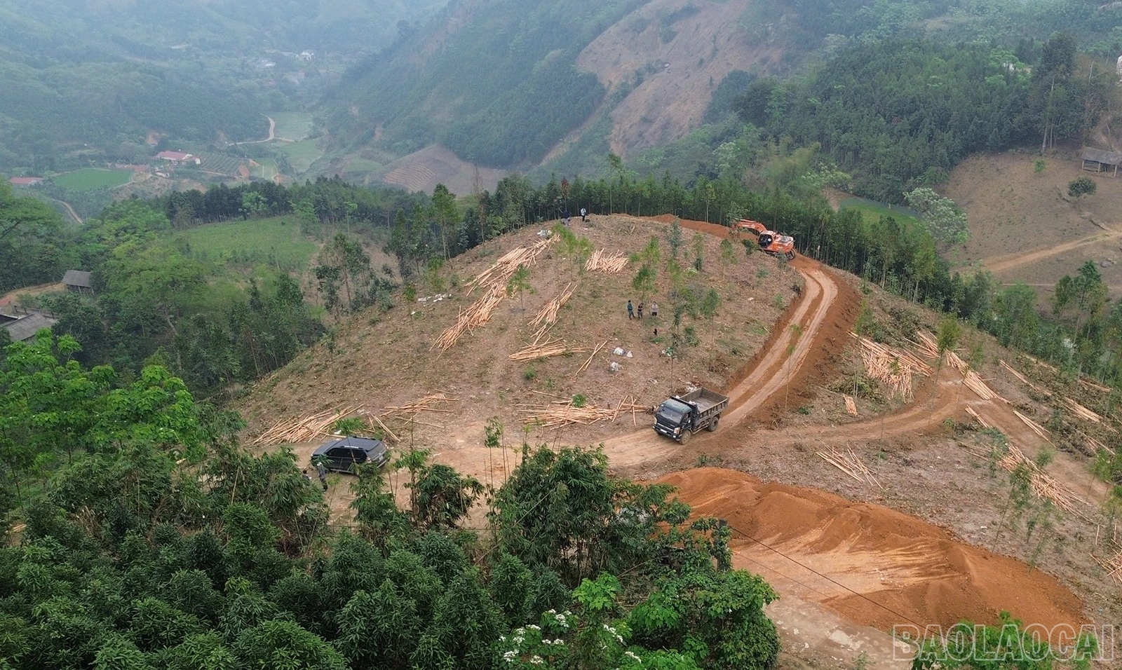 baolaocai-br_dji-0515.jpg