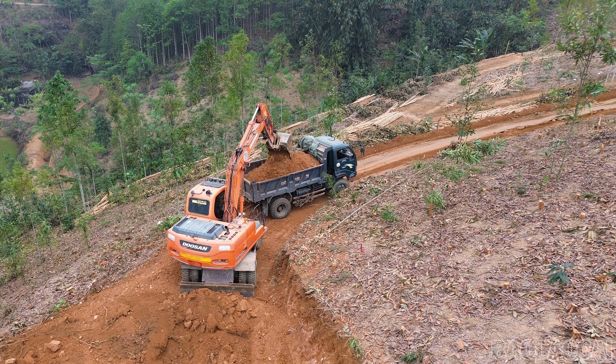 baolaocai-br_dji-0533.jpg