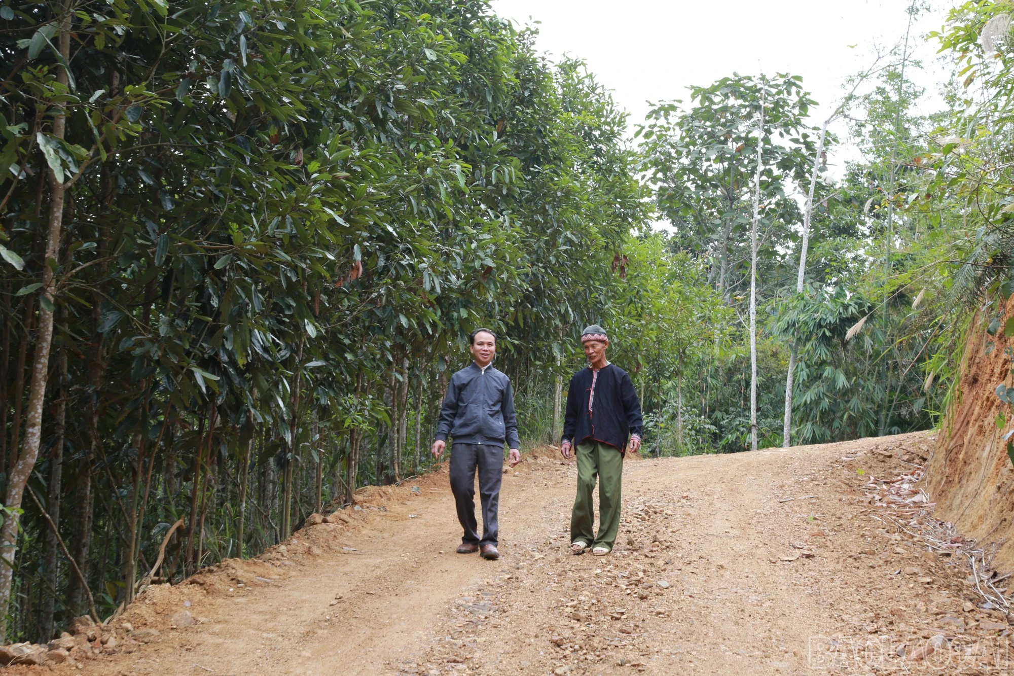 baolaocai-br_anh-ong-phuc-3.jpg