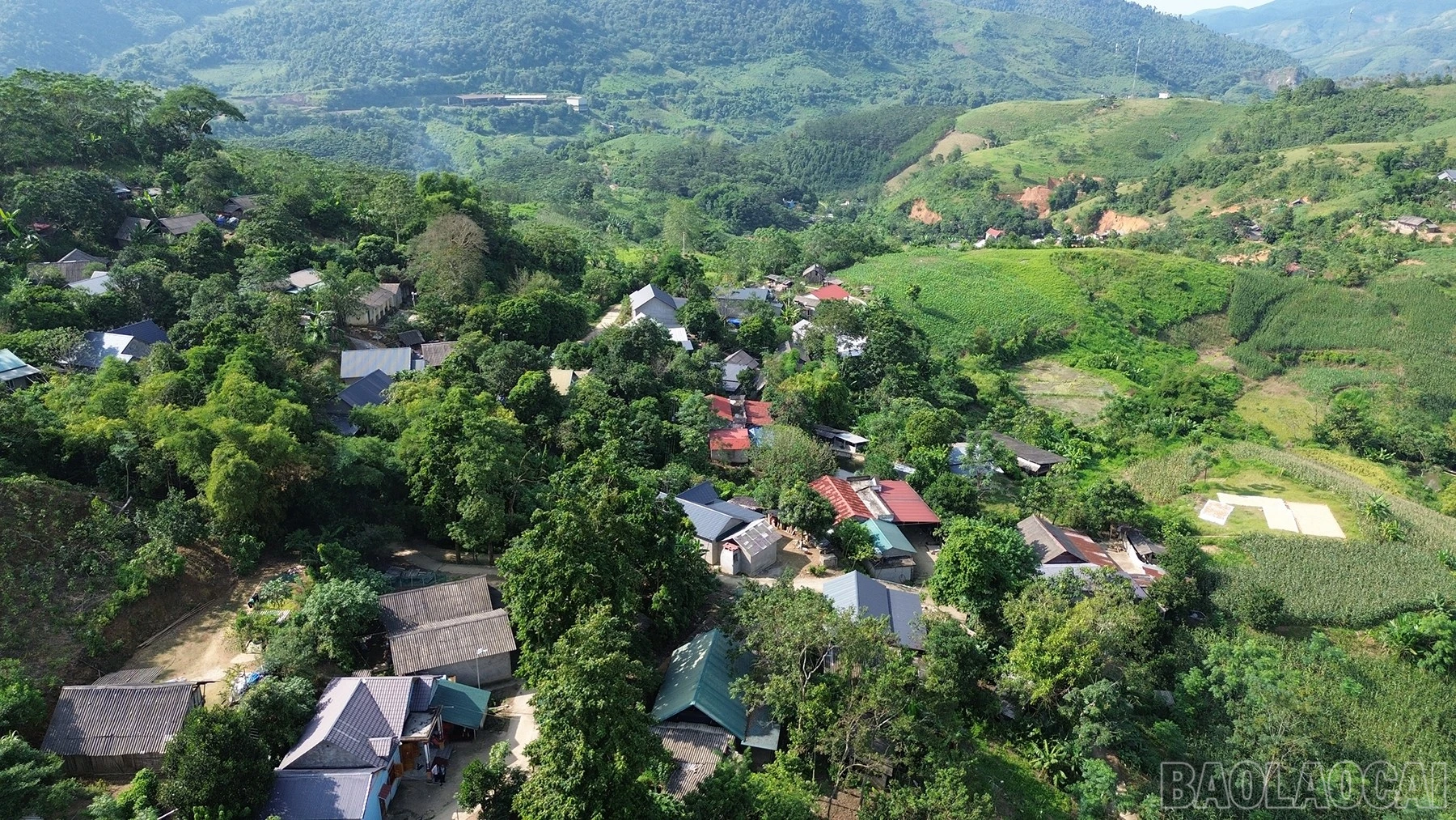 baolaocai-br_dji-0018.jpg