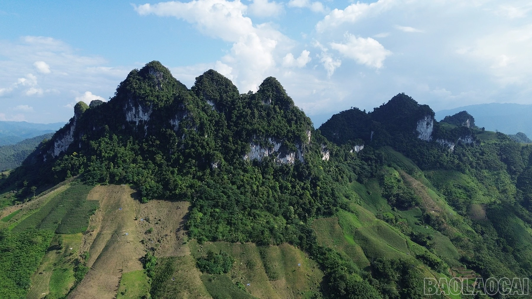 baolaocai-br_dji-0578.jpg