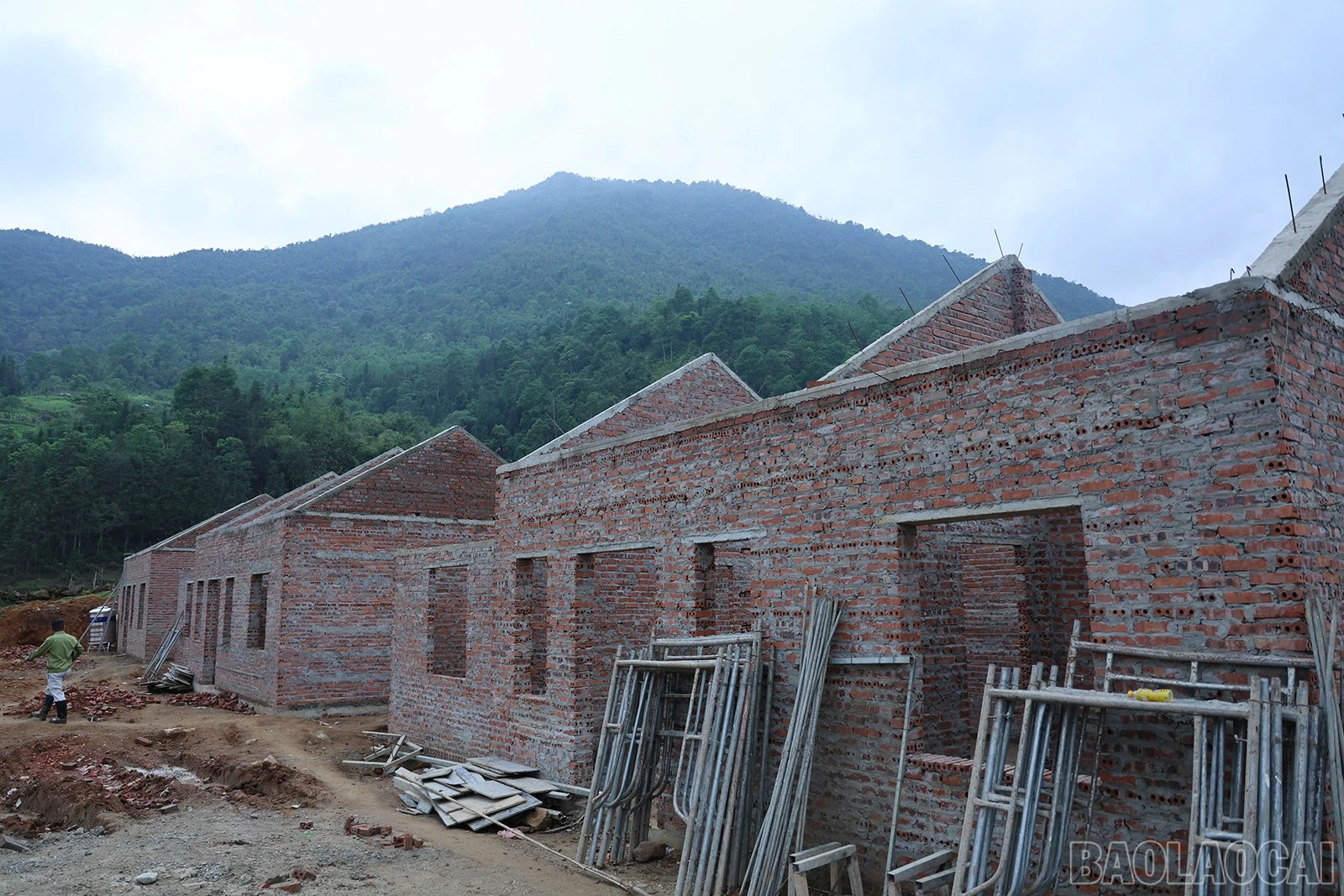 baolaocai-br_img-8009.jpg
