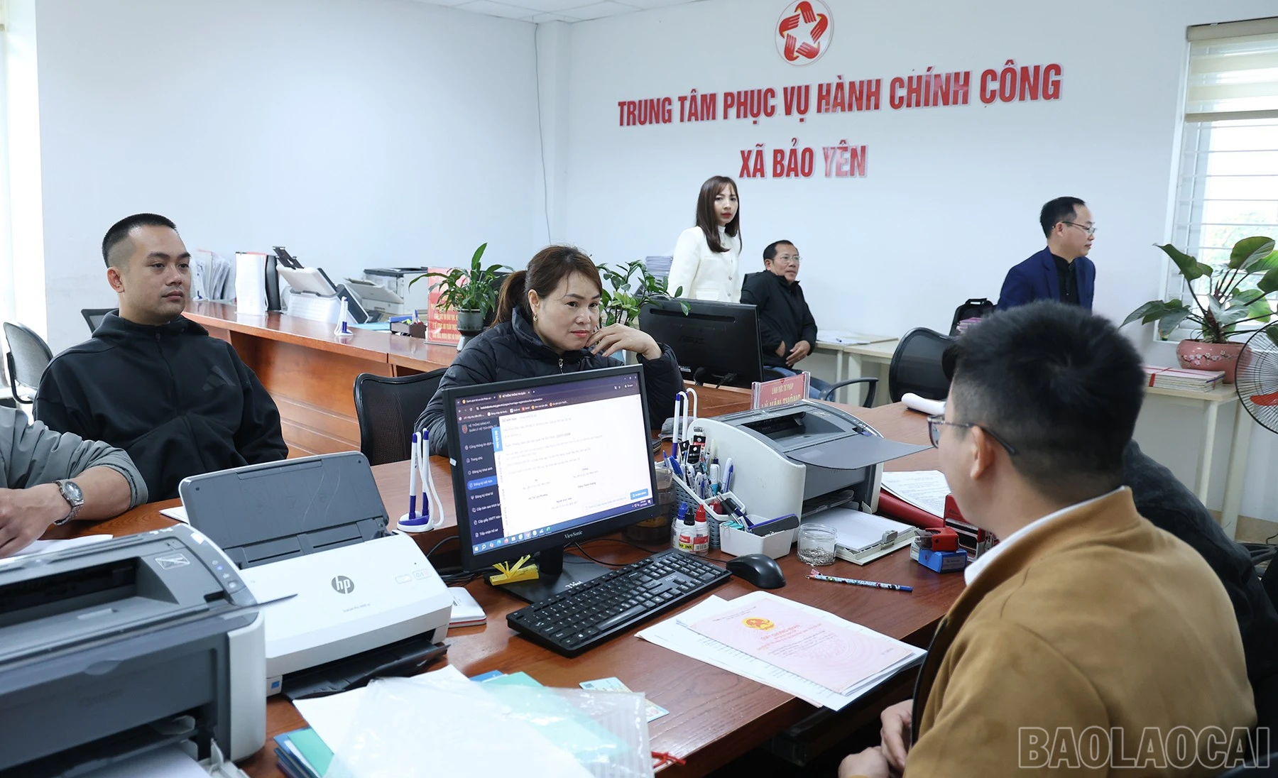 baolaocai-br_img-2086.jpg