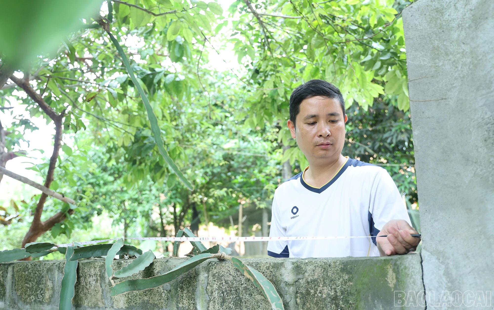 baolaocai-br_img-0584.jpg