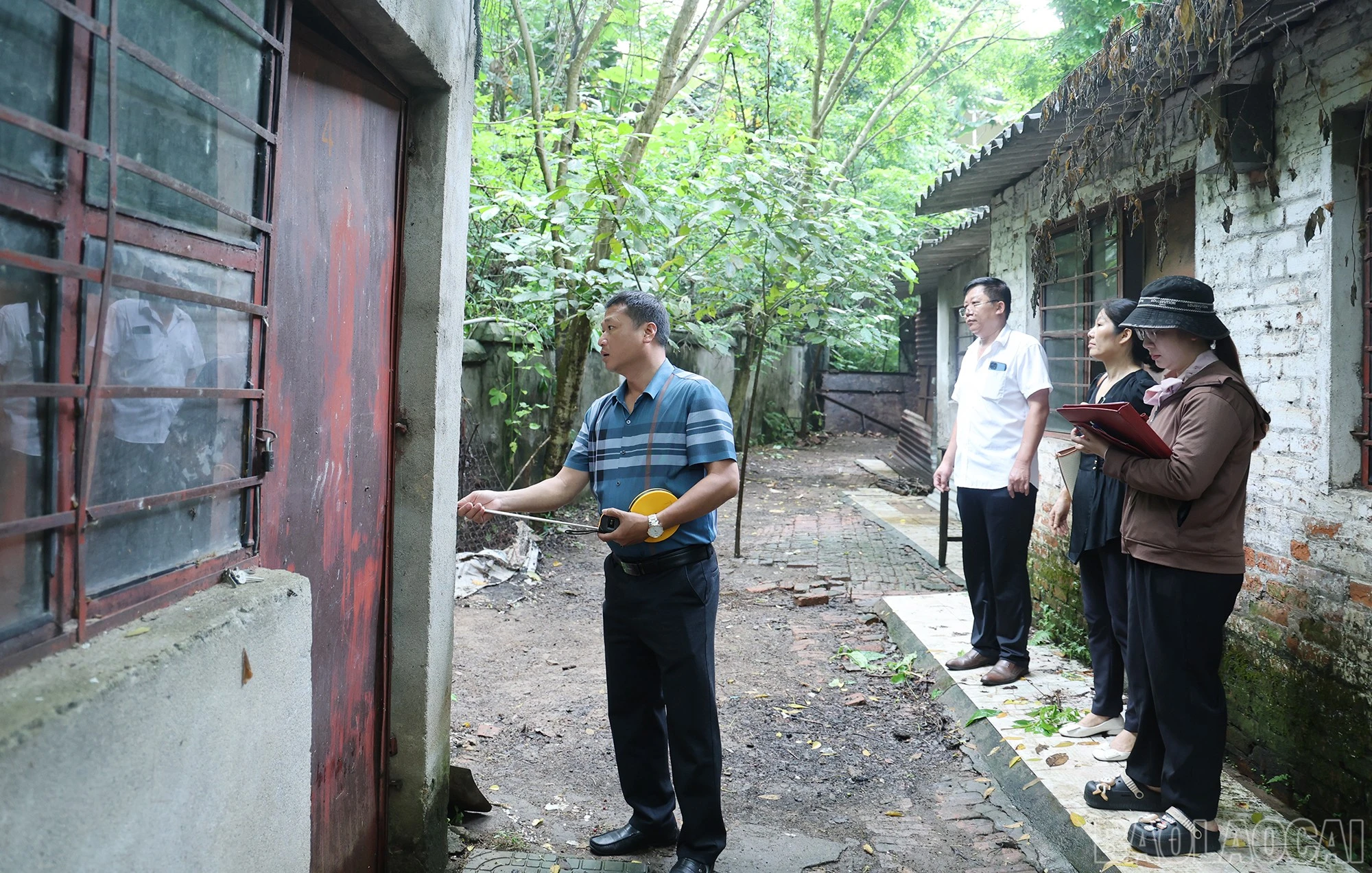 baolaocai-br_img-8893.jpg