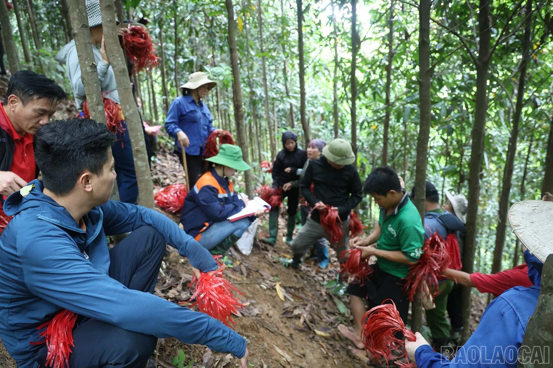 baolaocai-br_img-0446.jpg