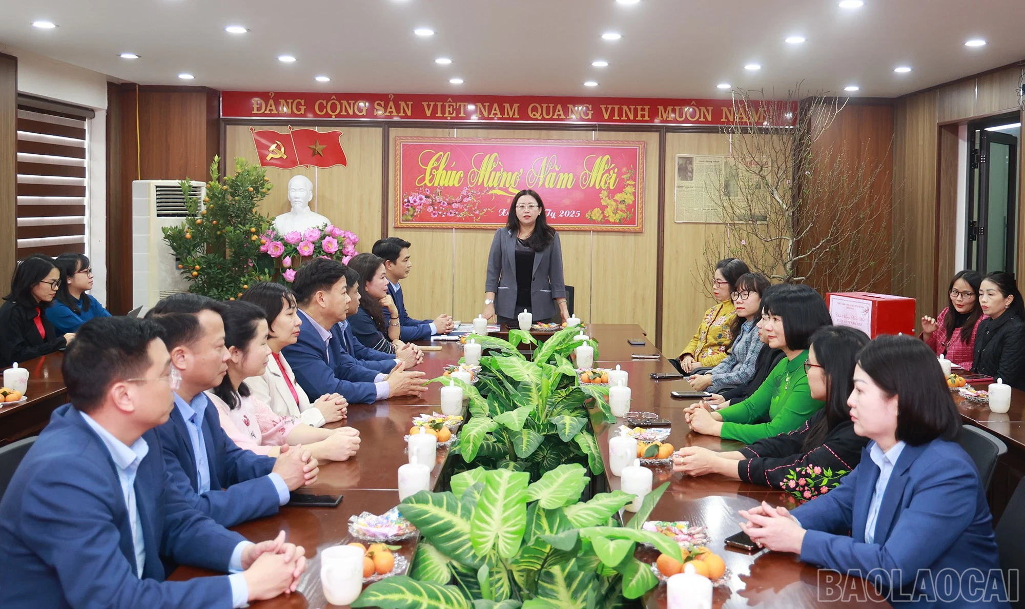 baolaocai-br_0b0a7554.jpg